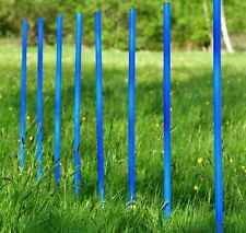 10 Agility-Slalomstangen