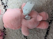 Singing Care Bear Talking