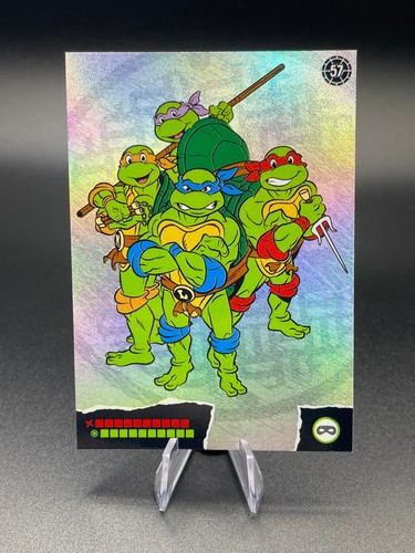 Panini teenage mutant ninja - panini,