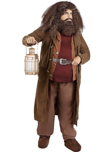 Harry potter hagrid - potter,