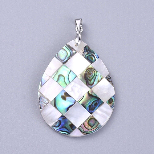 Paua abalone muschel - abalone,