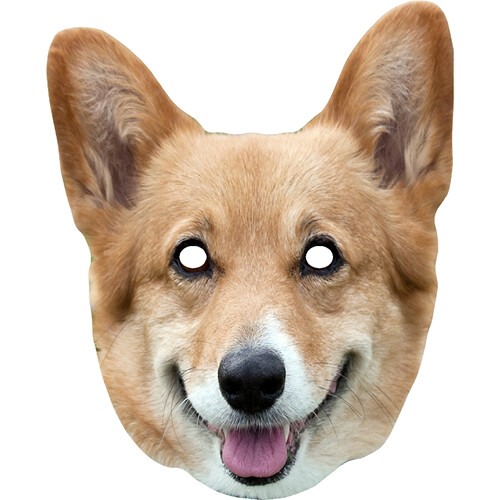 Corgi hund tier - corgi,