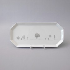 Rosenthal Polygon Winterreise