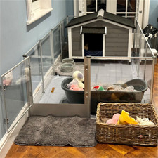 Acryl Wurfkiste Hunde