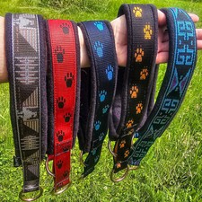 Hunde Halsband gepolstert