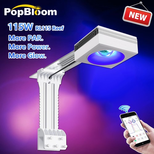 Popbloom rl115 meerwasser - popbloom,