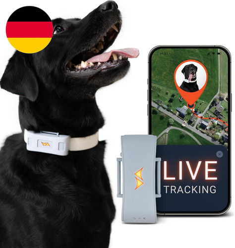 Paj gps tracker für hunde - gps,