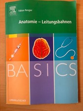 BASICS Anatomie – Leitungsbahnen Fabian Rengier; Zustand sehr gut