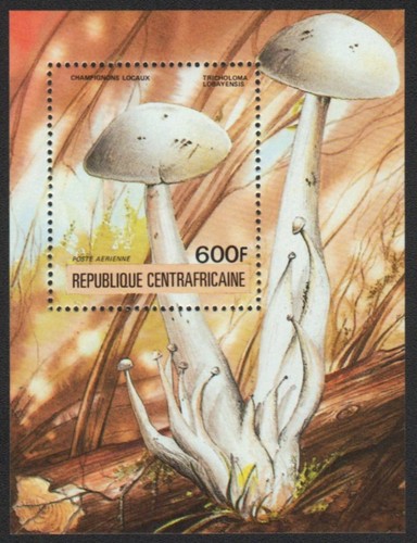 Zentralafrikanische rep 1984 - zentralafrikanische, rep.