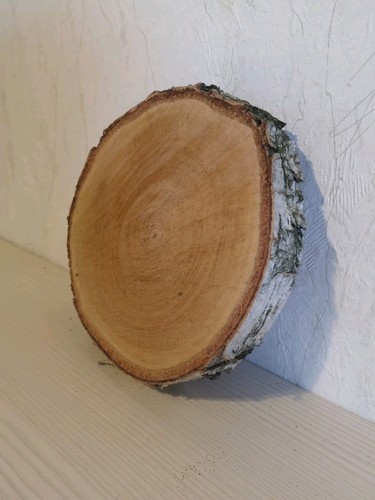 Baumscheibe 18cm birke - baumscheibe,