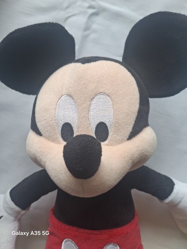 Original disney parks micky - parks,