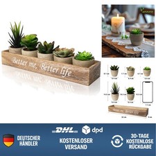 Künstliche Sukkulenten in Holzbox 5 Stück|Realistische Zimmerpflanzen für Hom...