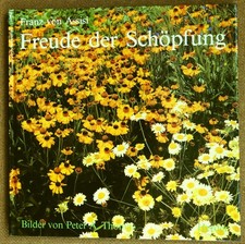 Franz von Assisi - Freude der