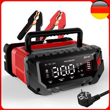 30A Autobatterie Ladegerät