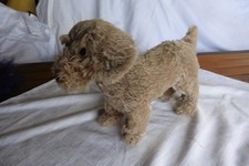 Original STEIFF Hund Dackel Rauhaardackel RAUDI PA 55 ca 323-07