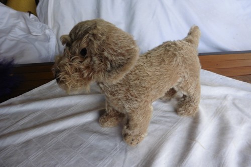 Original steiff hund - hund, dackel