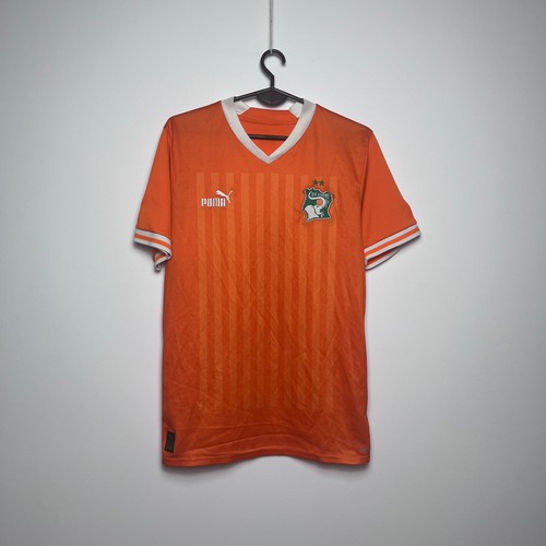 Ivory coast 2022 puma home - ivory,