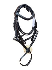 Premium Mexikanische Grackle