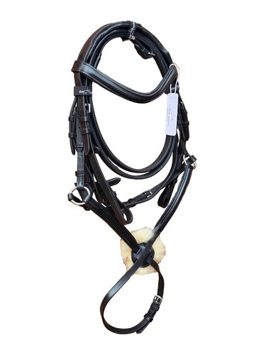 Premium mexikanische grackle - premium,