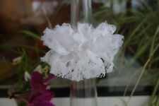 Kerzenrock Tropfschutz  Kommunion Taufe NEU weiß  (D3,5-5cm)