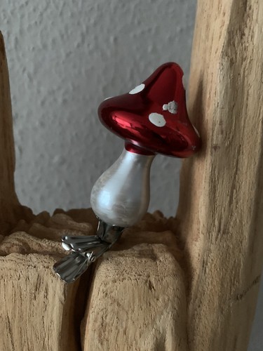Glaspilz fliegenpilz glas pilz - fliegenpilz,