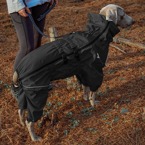 Hund regenmantel wasserdicht - hund,