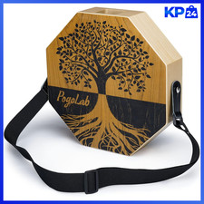 Cajon Instrument mit Snare und