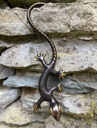 Gecko echse eidechse - 20,
