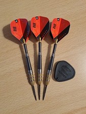 Steeldarts Target "Raymond v