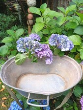 Alte Rarität seltene