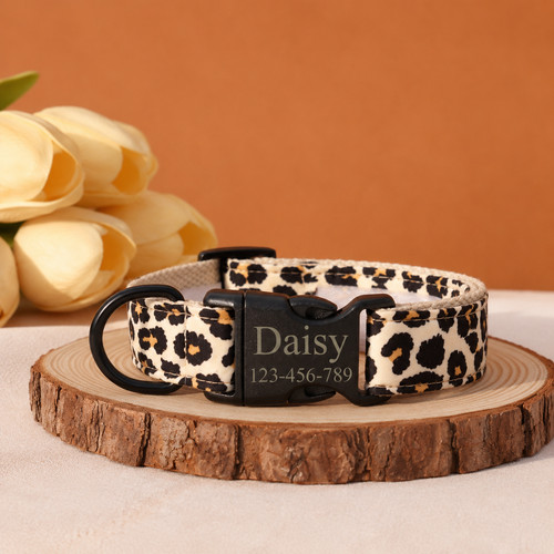 Hundehalsband mit leine leo - leine,