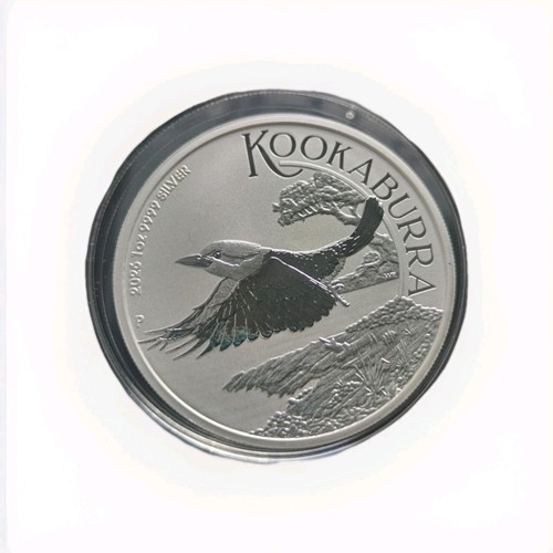 2026 australian kookaburra - australian, 1