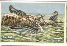 Erdal - älteres Kaufmannsbild - Serie;  Erdzeitalter - Kreidezeit - Abbildung