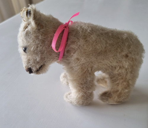 Original steiff jungbär sehr - steiff,