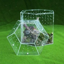 Durchsichtiges Terrarium für