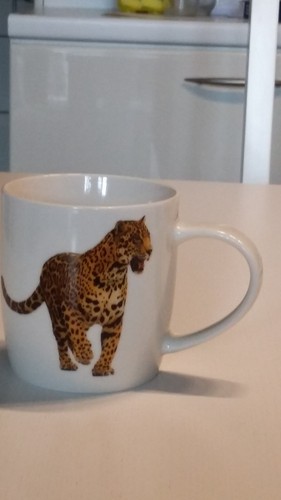 Kaffee teetasse aus porzellan - kaffee-/teetasse,