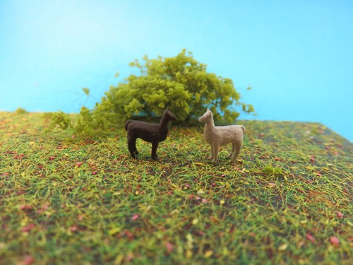 Lama tiere höhe - ),