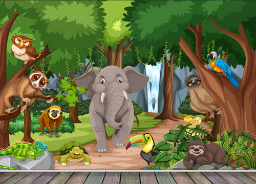Safari wilde tiere dschungel - safari,