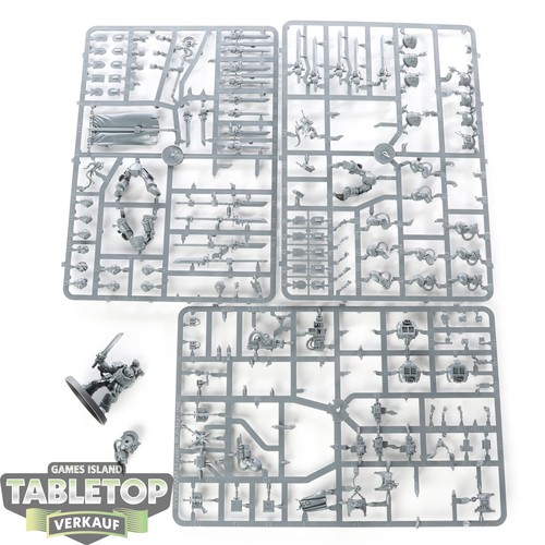 Grey knights paladins - grey, 4