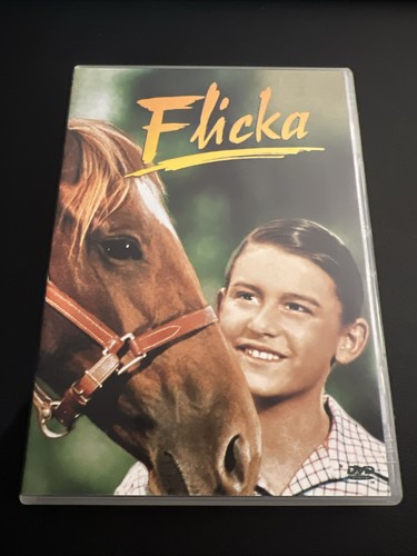 Flicka dvd spielfilm - dvd, über