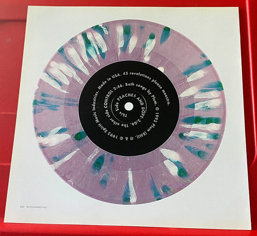Plum control record art - control,
