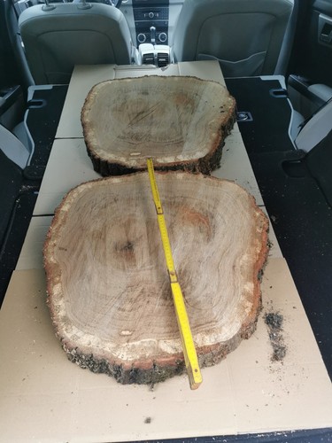 Baumscheibe xxxl eiche - xxxl,