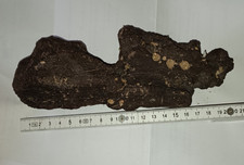 Holz Deko Wurzel Aquarium Terrarium Reptilien Wohnzimmer, 19x8 cm