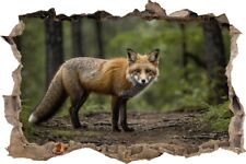 Wandtattoo Fuchs im Wald - verschiedene Rahmentypen DW000136