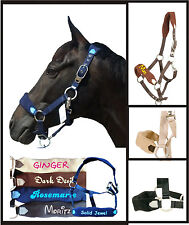 Halfter von Pfiff für Pony