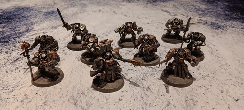Grey knight libarian - grey,