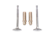 Ventil Set für Zylinderkopf