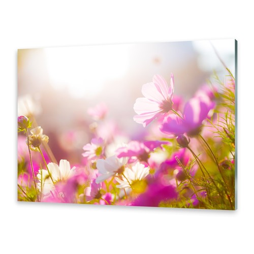 Glasbilder wandbild druck - glasbilder, auf