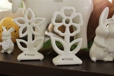 Tiziano Blume Mesola Blüte