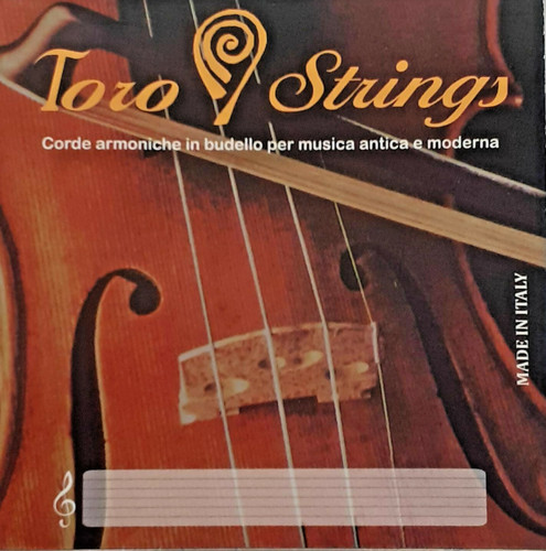 Saite violine geige - violine,
